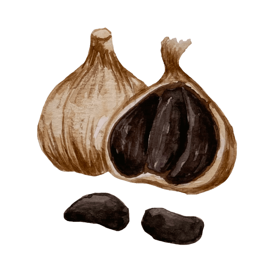 Black Garlic