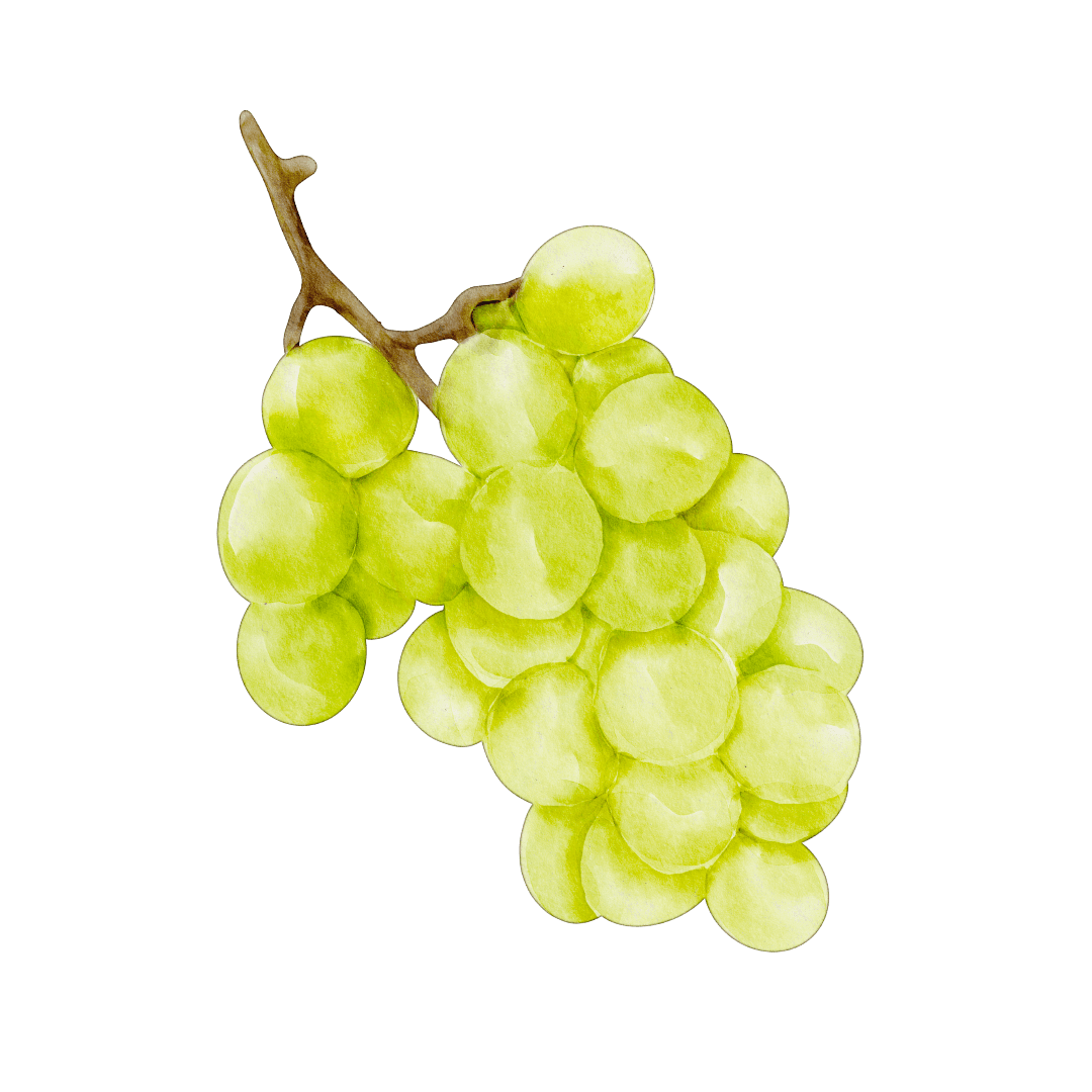 White Grape